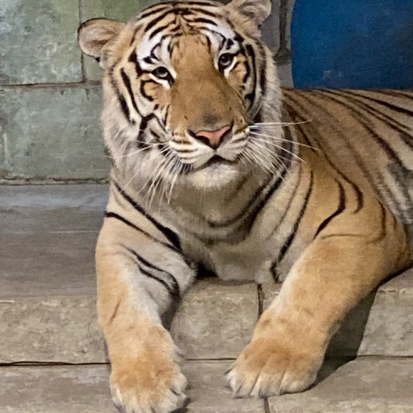 Meet your Posher, Jennifer - Picture 6 of 15